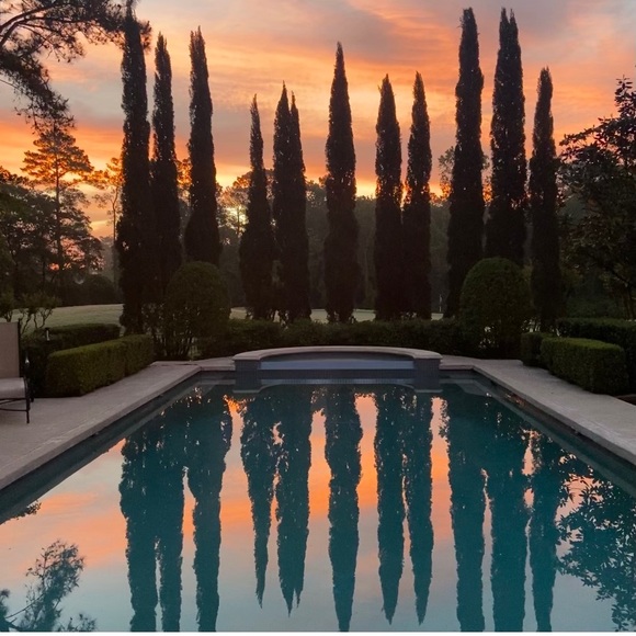 Meet your Posher, JoAnn!! - Picture 1 of 1